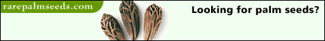 Online Cold Hardy Tropicals