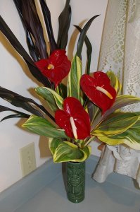 Click image for larger version.&nbsp;

Name:	IMGP6419.jpg&nbsp;
Views:	729&nbsp;
Size:	100.3 KB&nbsp;
ID:	8595