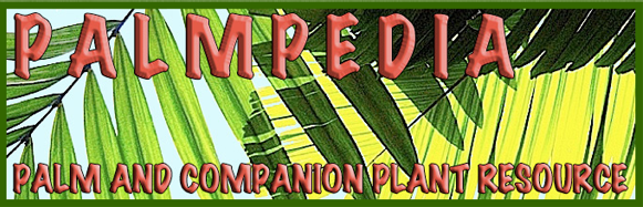 Palmpedia.net