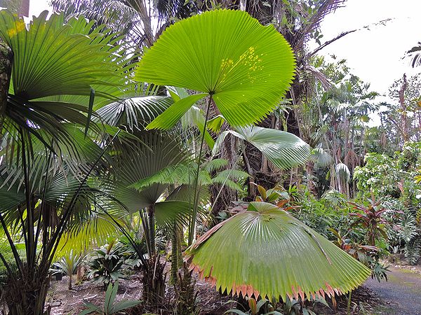 Site de rencontre pour femme cougars