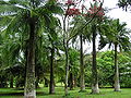 Thumbnail for version as of 09:35, 21 August 2014