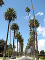 Thumbnail for version as of 20:06, 5 August 2014