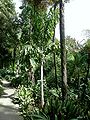 Thumbnail for version as of 09:47, 1 October 2014