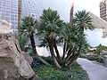 Thumbnail for version as of 13:49, 16 September 2014