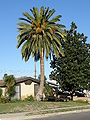 Thumbnail for version as of 20:07, 5 August 2014