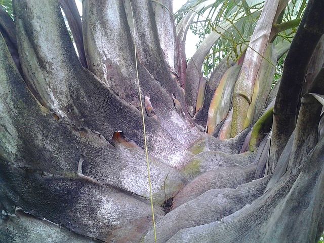 File:20120426 163742.jpg