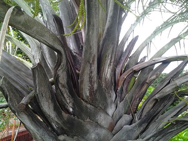 File:20120426 163915.jpg