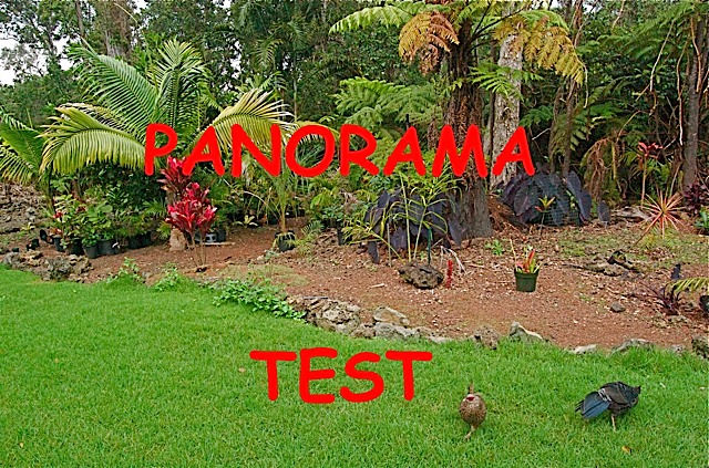 PanTest.jpg