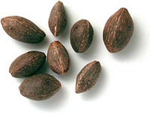 ButPar seeds.jpg