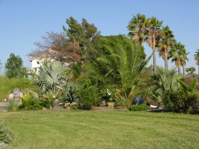 Across the lawn looking east