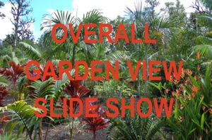 300px-JD_Garden_View_Link.jpg