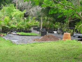 We just went through about four yards of soil in this years stepping