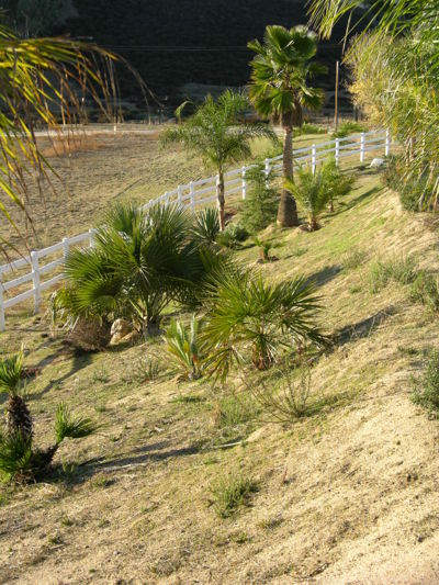Looking south