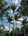 Thumbnail for version as of 00:48, 16 July 2014