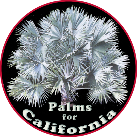 Palms For California