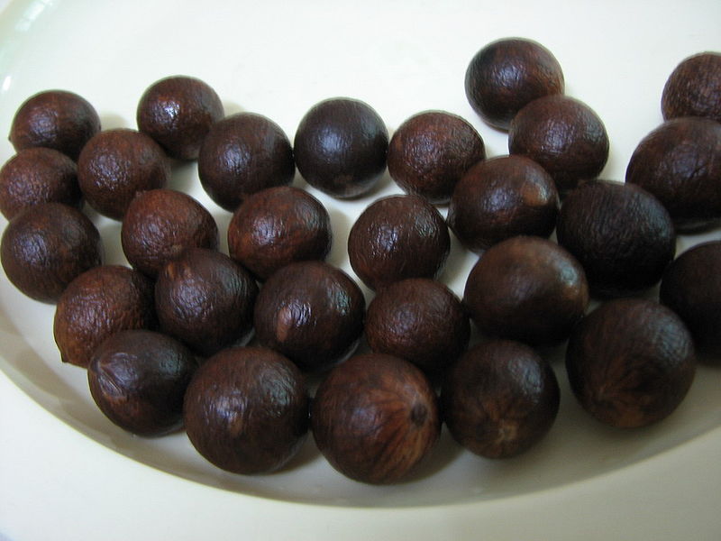 File:Corypha Utan seeds.jpg