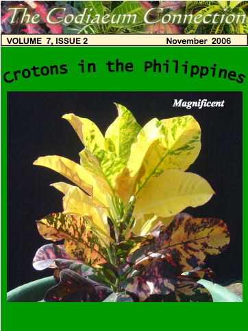 File:CC-Nov2006.png