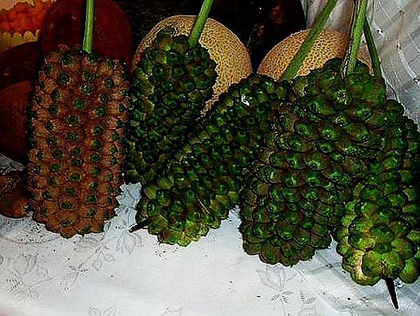 File:Image004.jpg