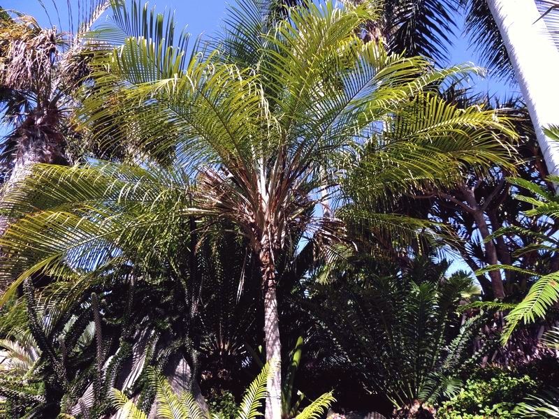 File:Fbcbe9.jpg