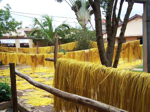 Raphia regalis - Palmpedia - Palm Grower's Guide