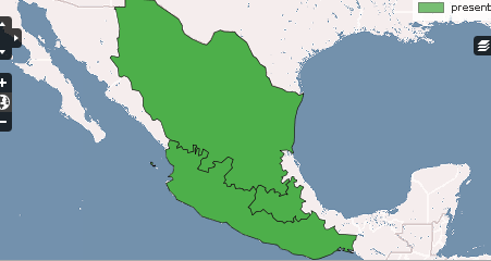 Sp978963574122.PNG