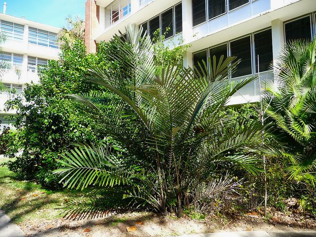 File:8282242019 c3d223a99d z.jpg