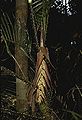 Thumbnail for version as of 00:27, 28 November 2014
