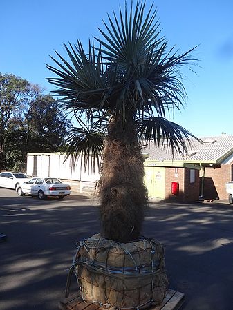 Post-197-0-62863700-1433326172.jpg