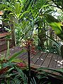 Thumbnail for version as of 22:07, 23 March 2015