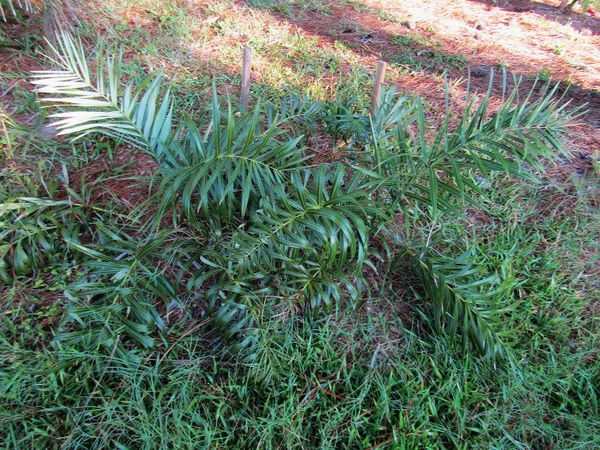 IMG 1219.jpg
