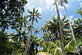 Thumbnail for version as of 09:37, 27 November 2012