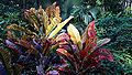 Thumbnail for version as of 02:08, 6 November 2014