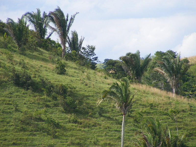 File:DSCF3535.JPG