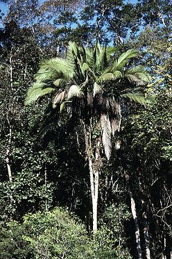 A381aaa1-b621-4d81-98ce-e8679557e3ea.jpg