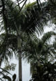 Thumbnail for version as of 03:47, 14 February 2023