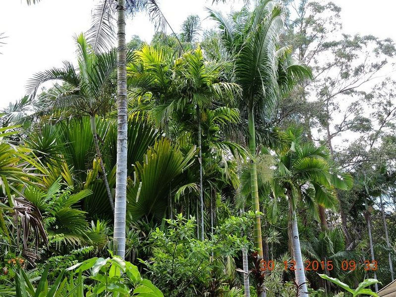 File:Post-7381-0-30770400-1419997208.jpg