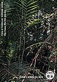 Thumbnail for version as of 00:32, 8 February 2015