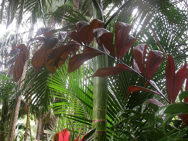 File:Post-5709-0-40770100-1428014359.jpg