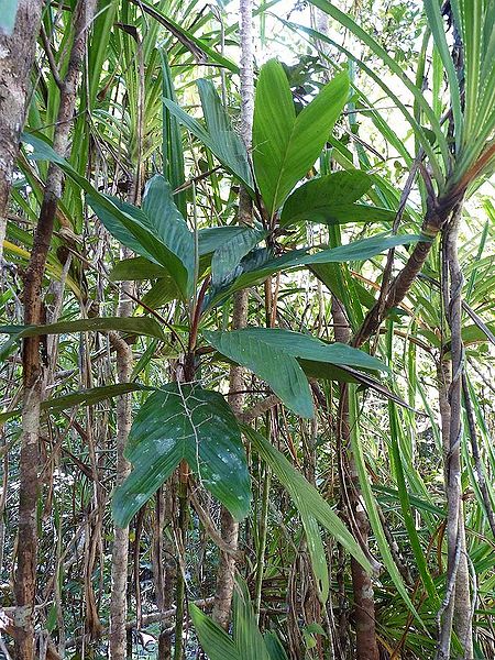 File:10840363183 ed6df0e790 b.jpg