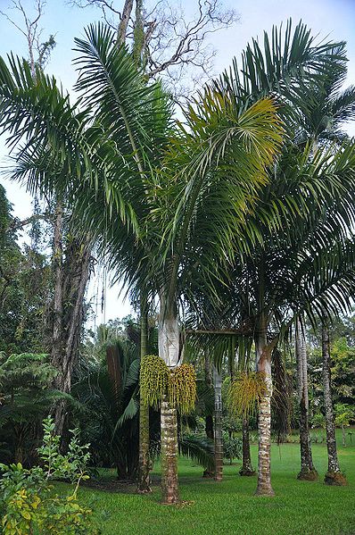 File:Dbpost-22-0-23239000-1385106545.jpg