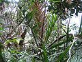 Thumbnail for version as of 00:37, 5 September 2012