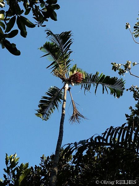 File:15687823070 9f1062e4f7 o.jpg