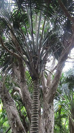 HbIMG 6983.jpg