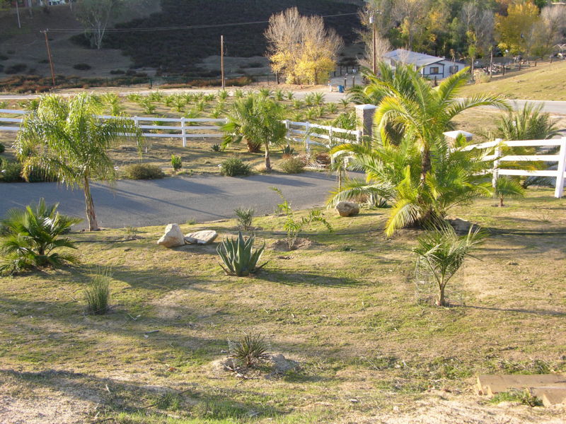 File:059mlc.JPG