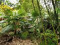 Thumbnail for version as of 06:35, 3 April 2015