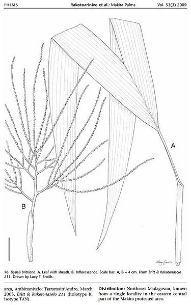 File:Dt0034228976.JPG