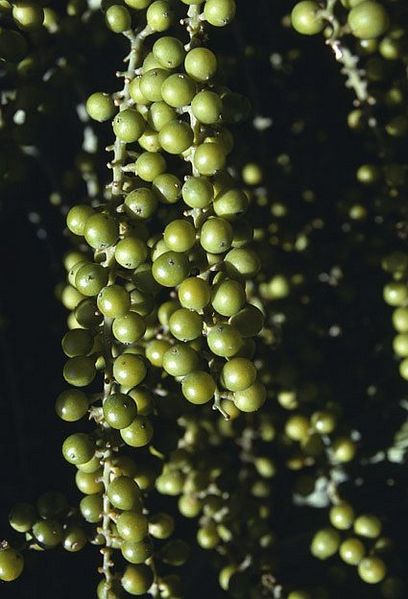 File:45b8fa0d-2a45-4894-96d2-9662323a5f20.jpg