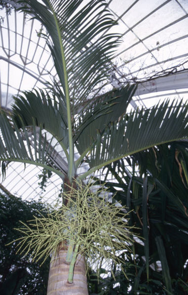 File:70.jpg