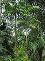 Thumbnail for version as of 00:45, 29 May 2015