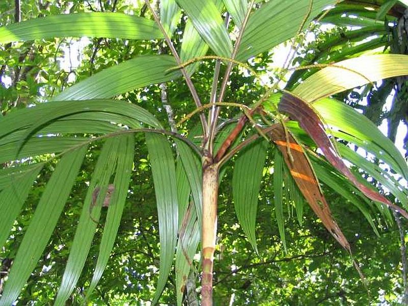 File:Post Madagascar 2005 230z.JPG